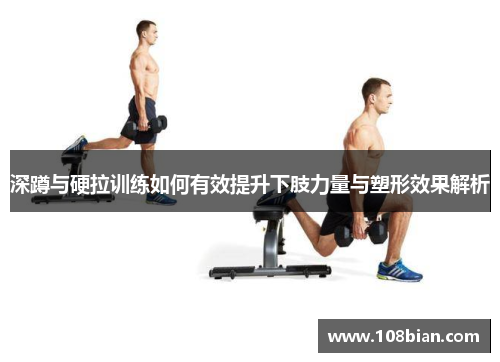 深蹲与硬拉训练如何有效提升下肢力量与塑形效果解析